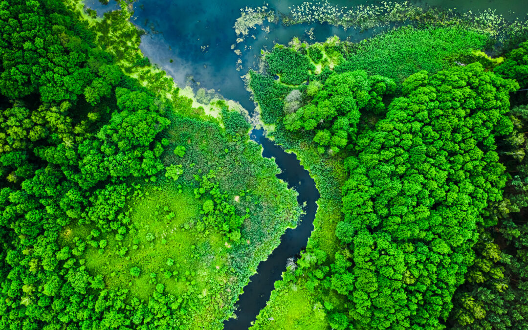 What Businesses Should Know About Sustainability Assurance Trends in Singapore